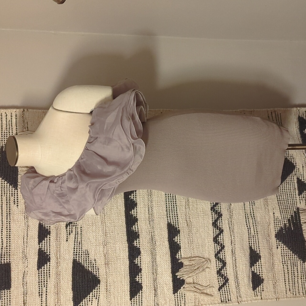 Zara Silver Gray One Shoulder Ribbed Organza Ruffle Mini Dress Medium NWOT